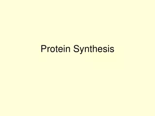 Protein Synthesis