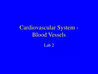Cardiovascular System - Blood Vessels