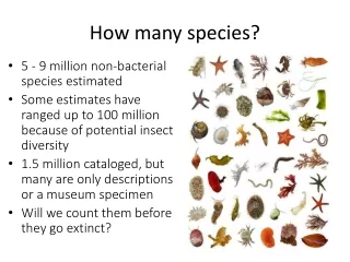 How many species?