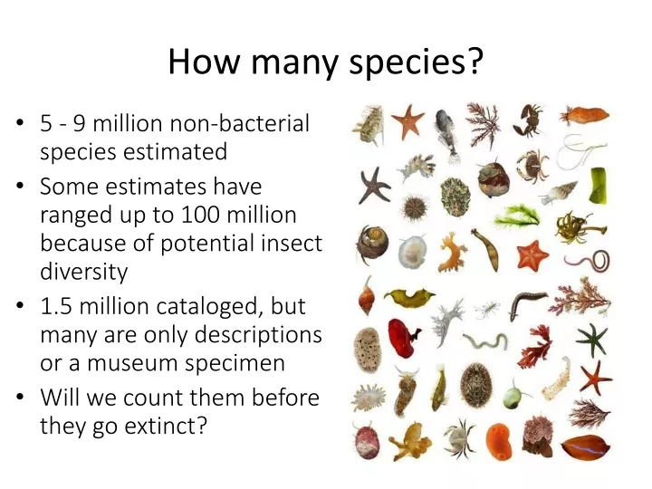 how many species