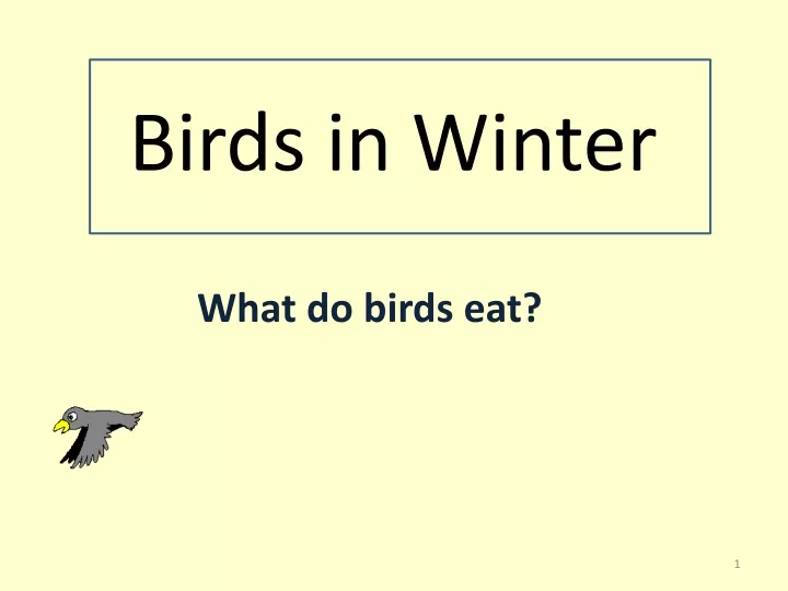 birds in winter