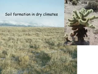 Soil formation in dry climates