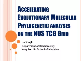 Accelerating Evolutionary Molecular Phylogenetic analyses on the NUS TCG Grid