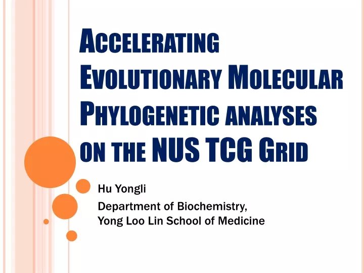 accelerating evolutionary molecular phylogenetic analyses on the nus tcg grid