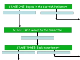 STAGE ONE: Begins in the Scottish Parliament