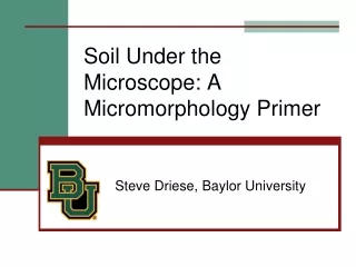 Soil Under the Microscope: A Micromorphology Primer