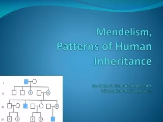 Mendelism, Patterns of Human Inheritance