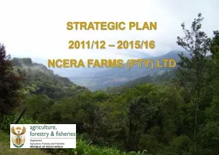 STRATEGIC PLAN  2011/12 – 2015/16 NCERA FARMS (PTY) LTD