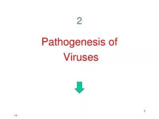 Pathogenesis of  Viruses