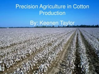 Precision Agriculture in Cotton Production By: Keenen Taylor