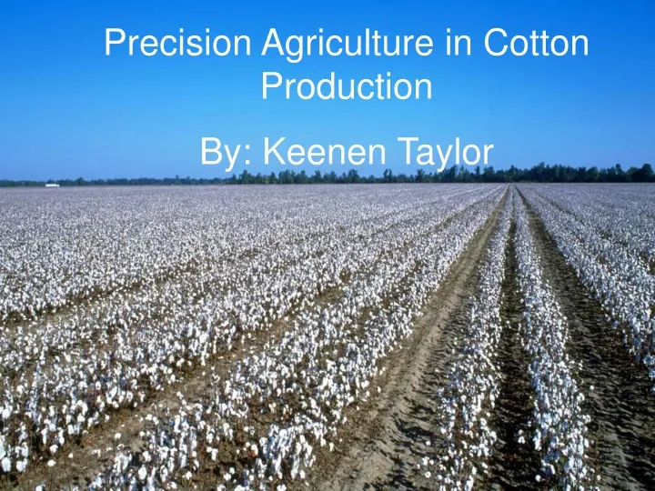 precision agriculture in cotton production