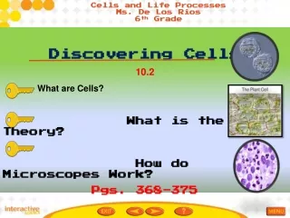Discovering Cells 10.2               What are Cells?               What is the Cell Theory?