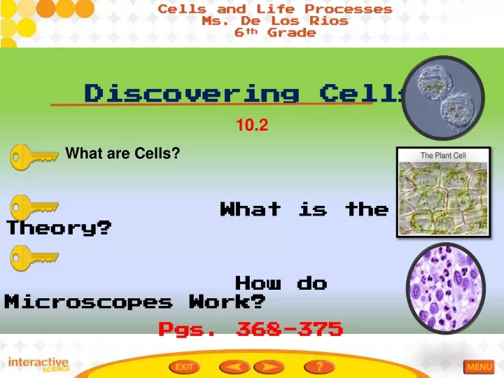 cells and life processes ms de los rios 6 th grade