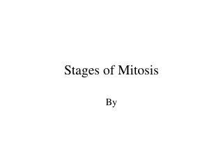 Stages of Mitosis