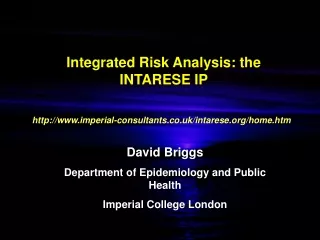 Integrated Risk Analysis: the INTARESE IP