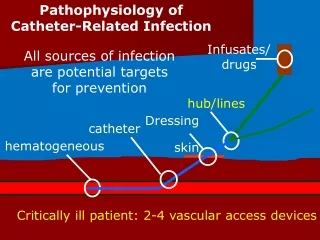 Critically ill patient: 2-4 vascular access devices