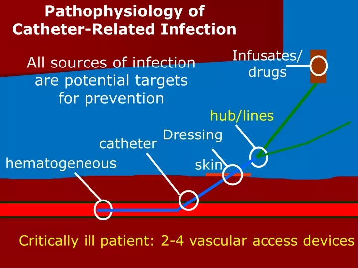 pathophysiology of catheter related infection