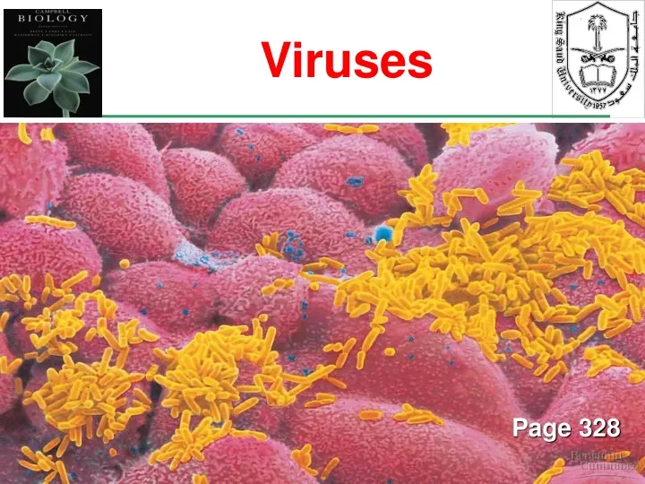 viruses