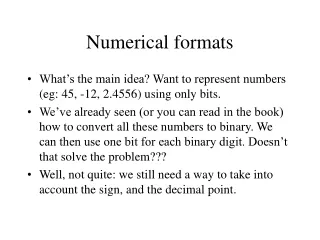 Numerical formats