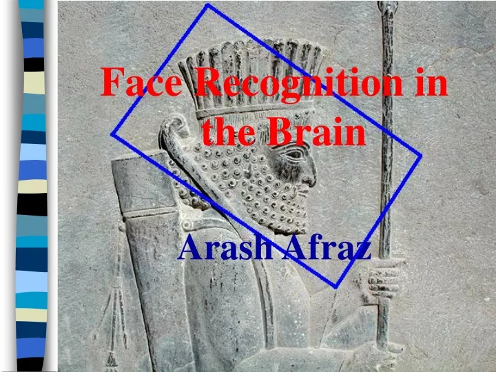 face recognition in the brain arash afraz