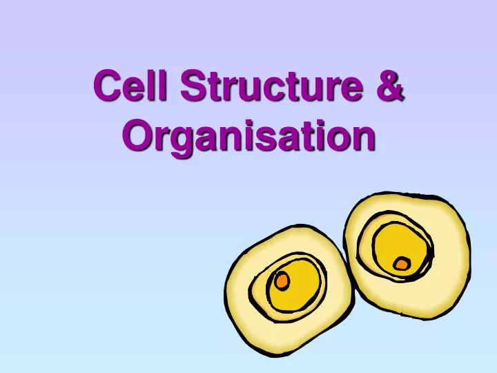 cell structure organisation