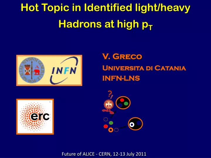 hot topic in identified light heavy hadrons