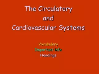 The Circulatory  and  Cardiovascular Systems Vocabulary Important info Headings