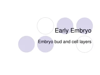 Early Embryo