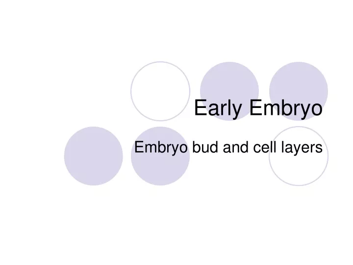 early embryo