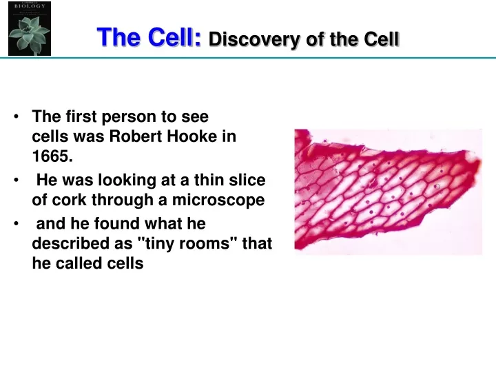 the cell discovery of the cell