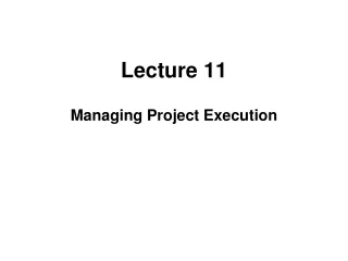Lecture 11 Managing Project Execution