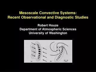 Mesoscale Convective Systems:  Recent Observational and Diagnostic Studies Robert Houze