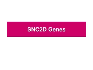 SNC2D Genes