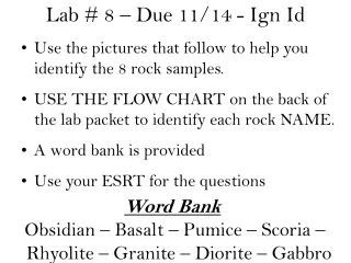 Lab # 8 – Due 11/14 - Ign Id