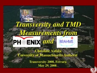 Transversity and TMD Measurements from  and