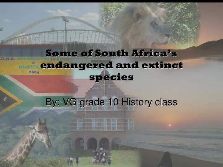 some of south africa s endangered and extinct species
