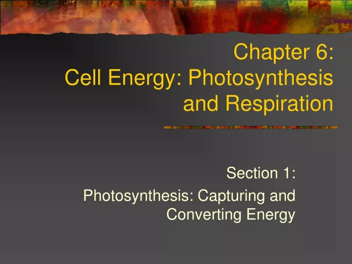chapter 6 cell energy photosynthesis and respiration