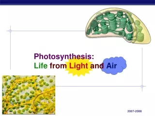 Photosynthesis: Life from Light  and Air