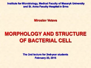 Miroslav Votava MORPHOLOGY AND STRUCTURE OF BACTERIAL CELL The 2nd l ecture for 2nd-year students