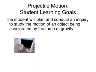 Projectile Motion:  Student Learning Goals