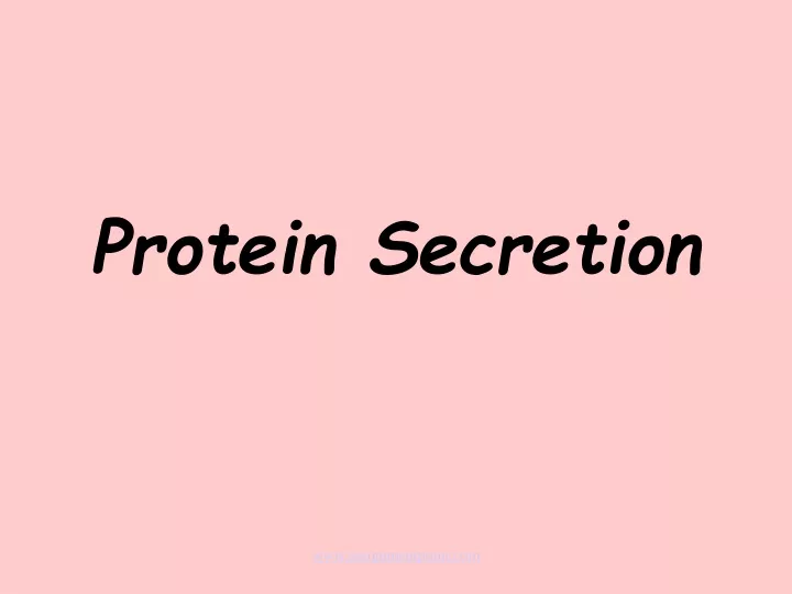 protein secretion