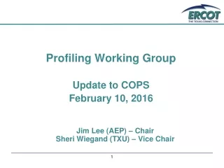 Profiling Working Group Update to COPS February 10, 2016