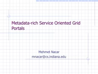 Metadata-rich Service Oriented Grid Portals