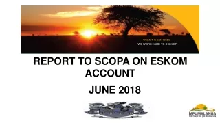 REPORT TO SCOPA ON ESKOM ACCOUNT