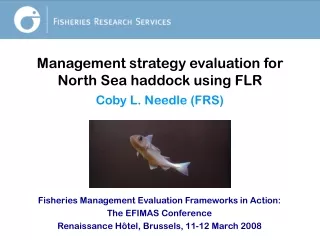 Management strategy evaluation for North Sea haddock using FLR