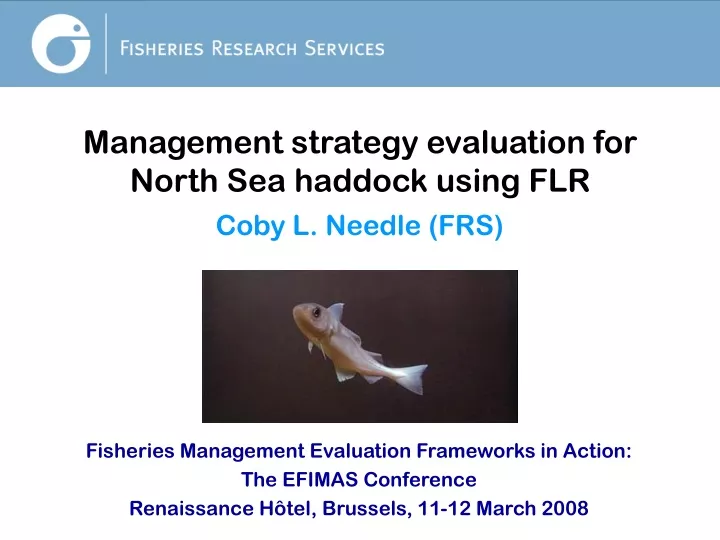 management strategy evaluation for north sea haddock using flr