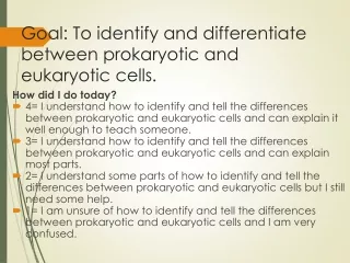 Goal: To identify and differentiate between prokaryotic and eukaryotic cells.