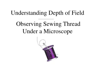 Understanding Depth of Field  Observing Sewing Thread Under a Microscope