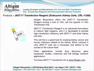Products &gt; 293T/17 Transfection Reagent (Embryonic Kidney Cells, CRL-11268)