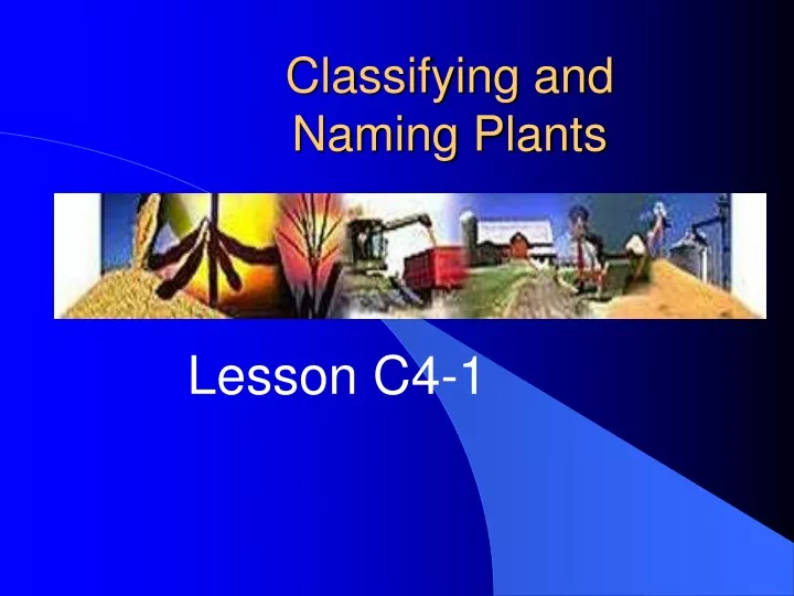 classifying and naming plants